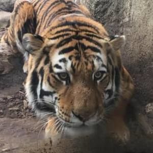 Meet your Posher, Inga